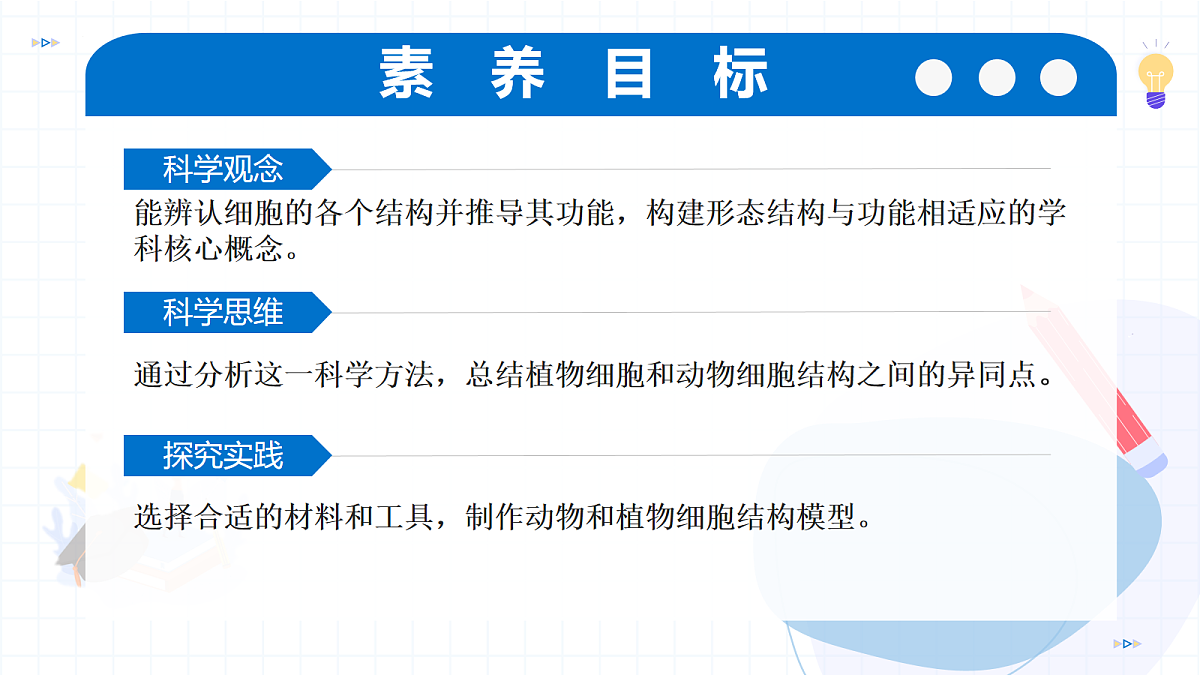 17256748第3页