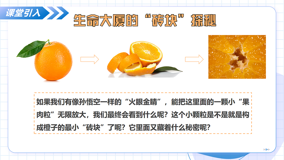 17256748第4页