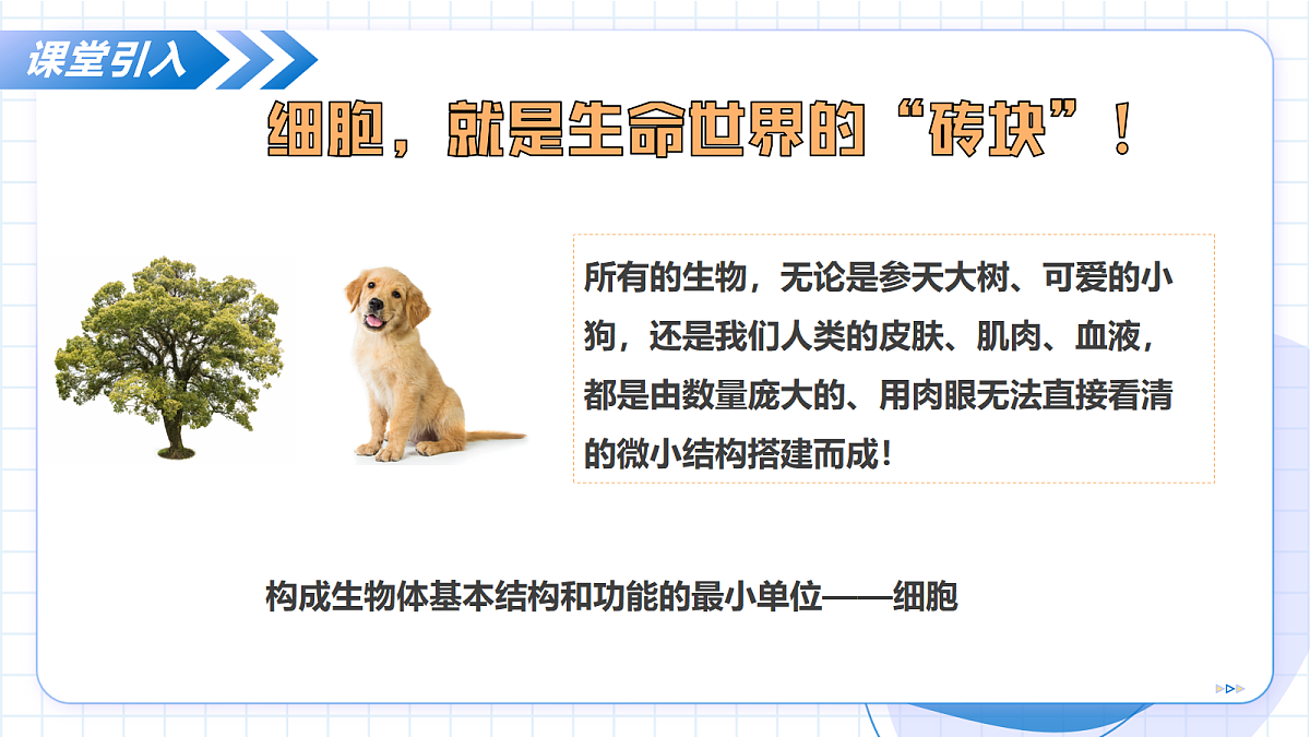 17256748第5页