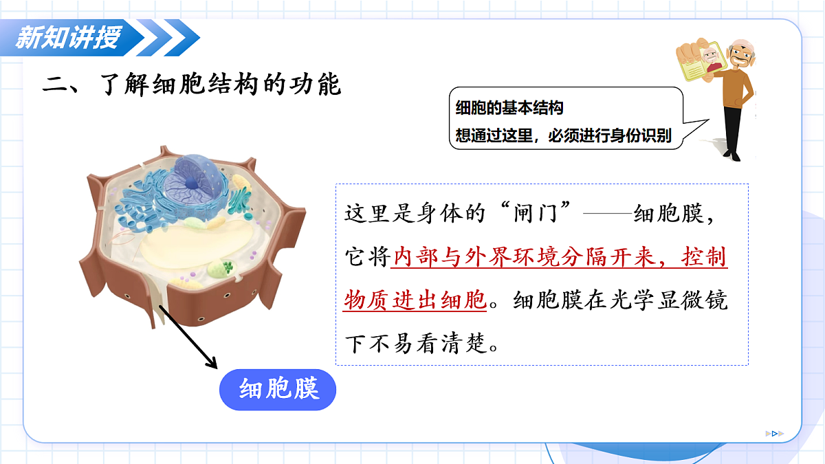 17256748第8页