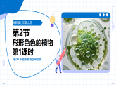 浙教版科学七年级上册 第二章 第二节 形形色色的植物 第一课时 教学课件
