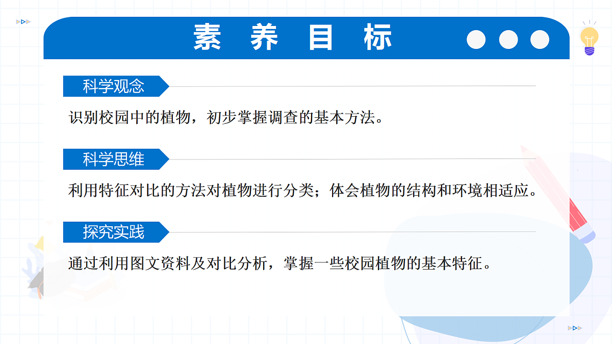 17256749第3页