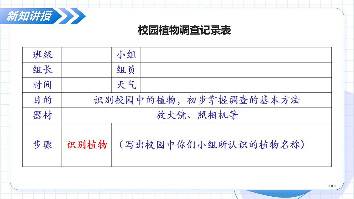 17256749第8页