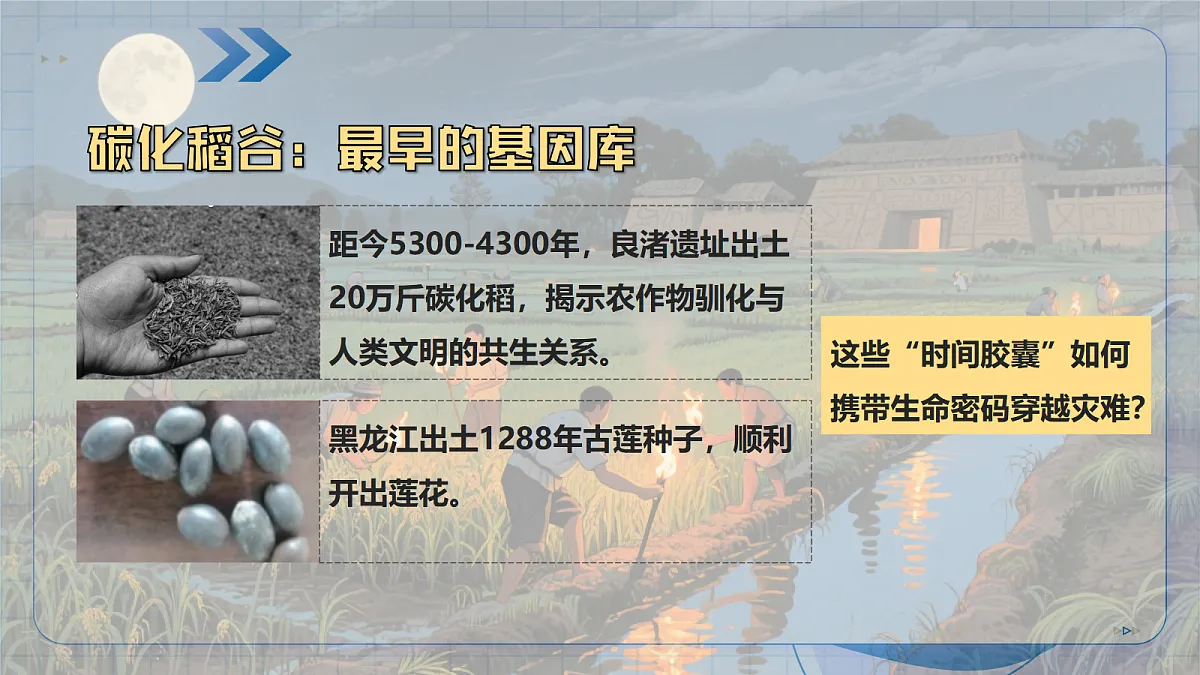 17256751第4页