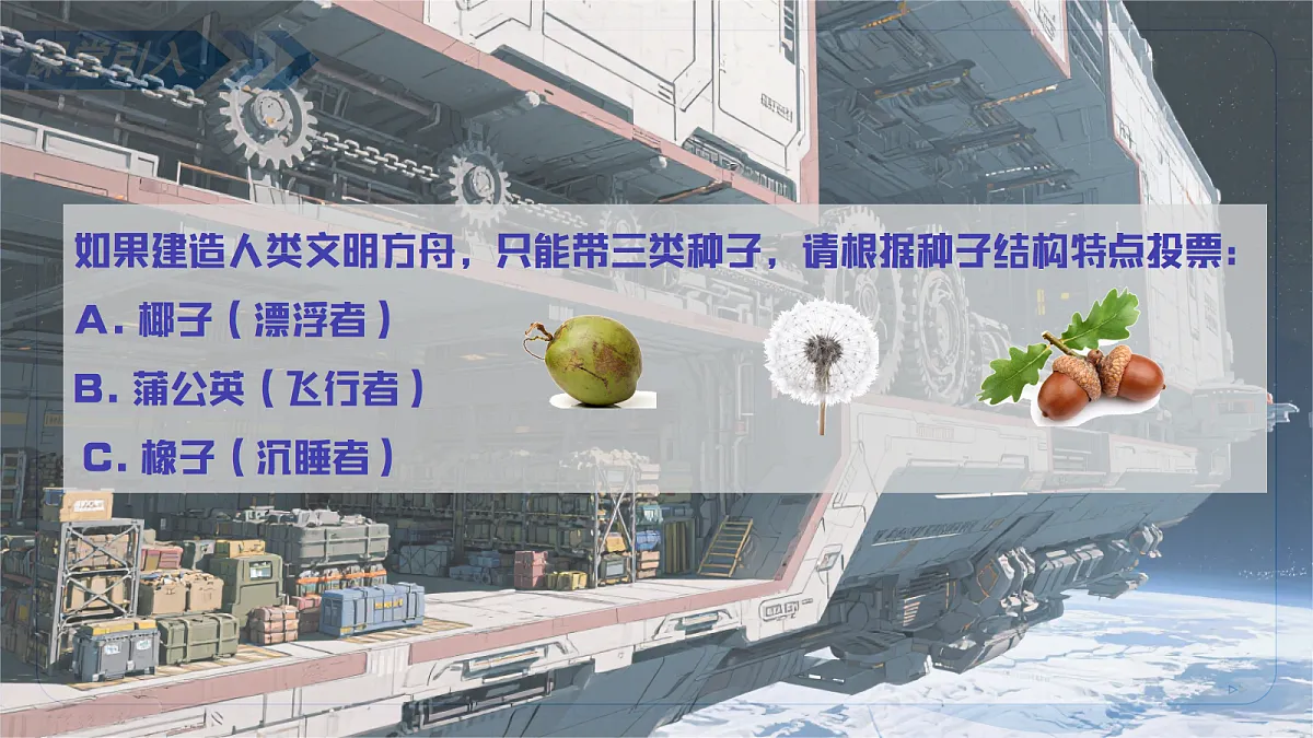 17256751第5页