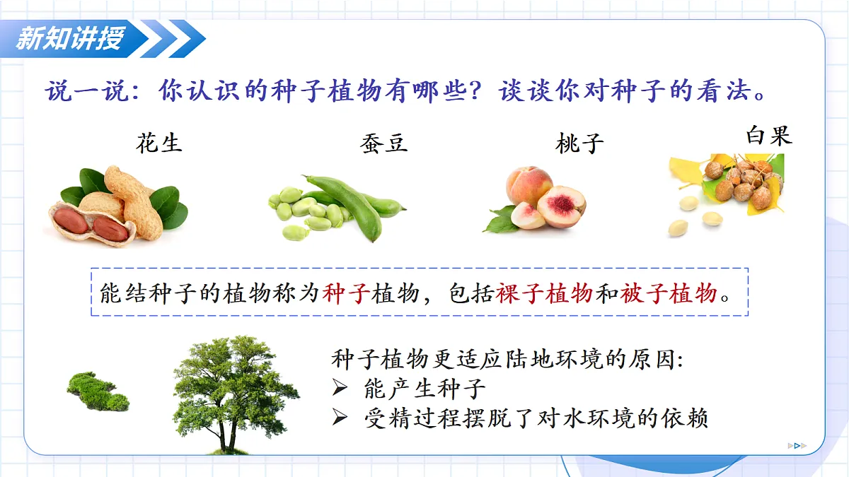 17256751第8页