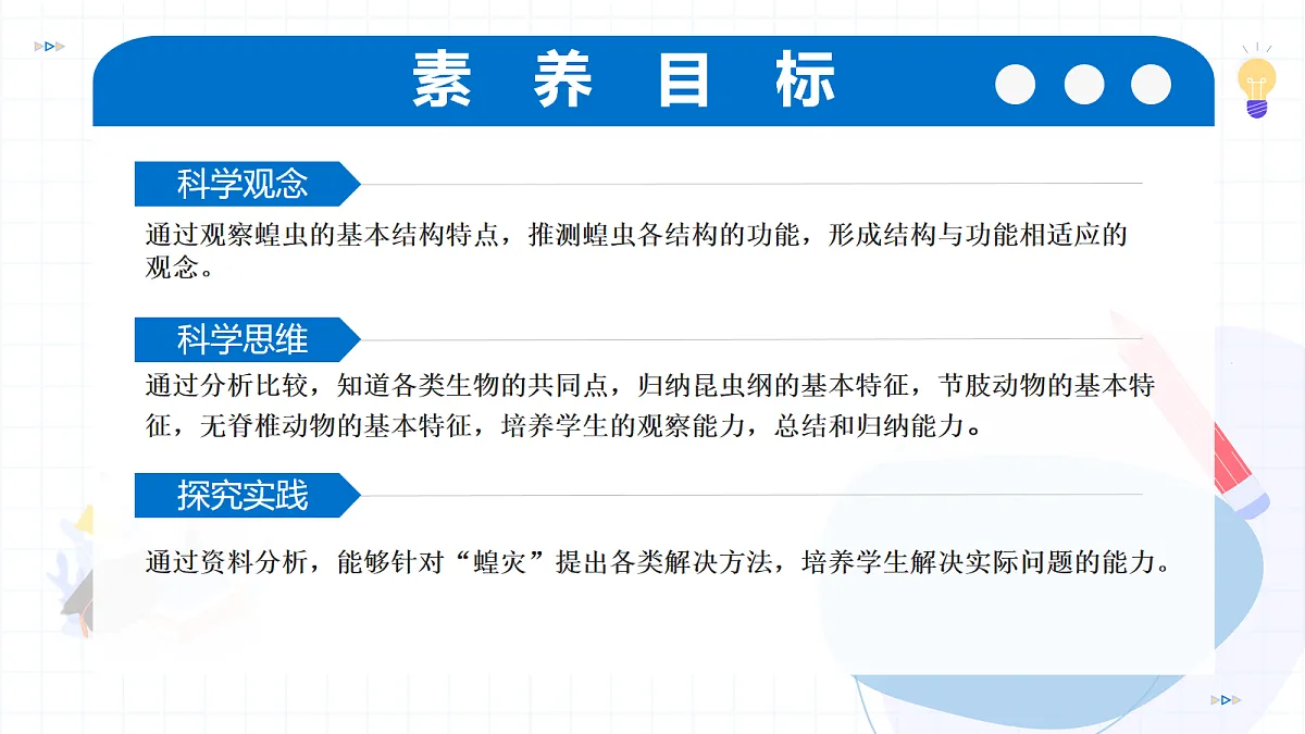 17256752第3页