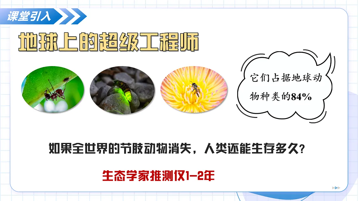 17256752第4页