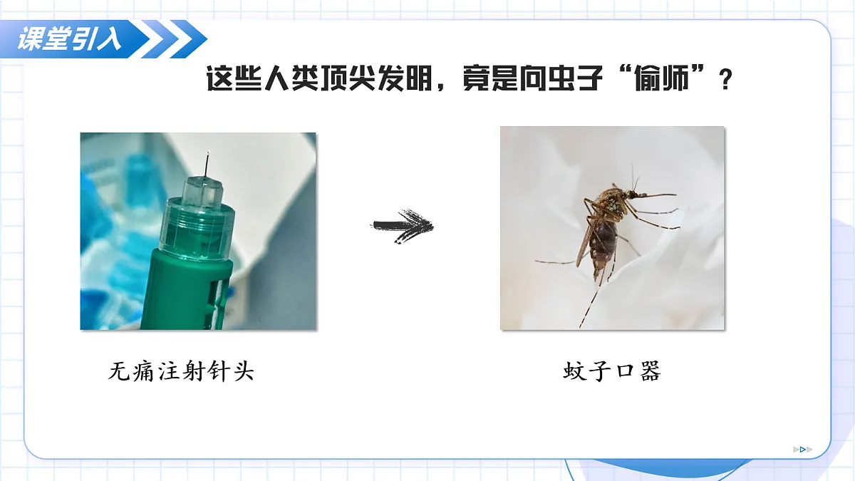 17256752第5页