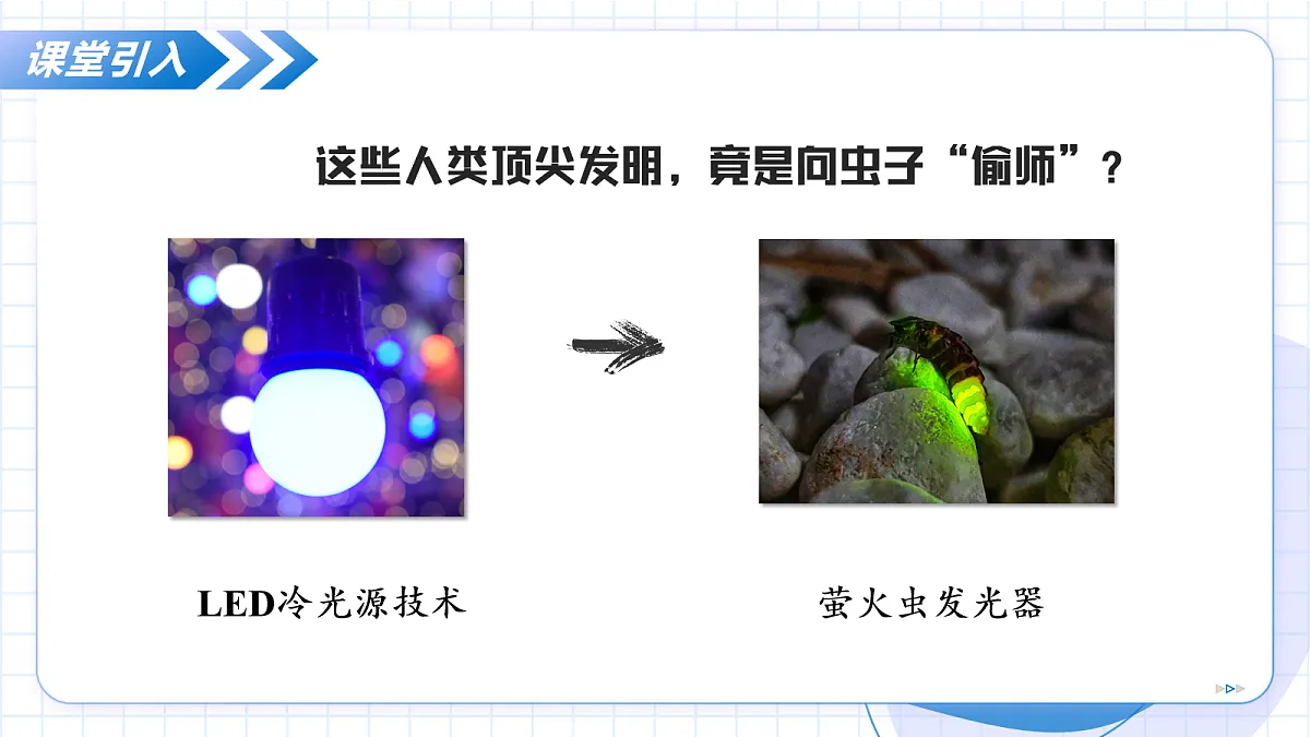 17256752第6页
