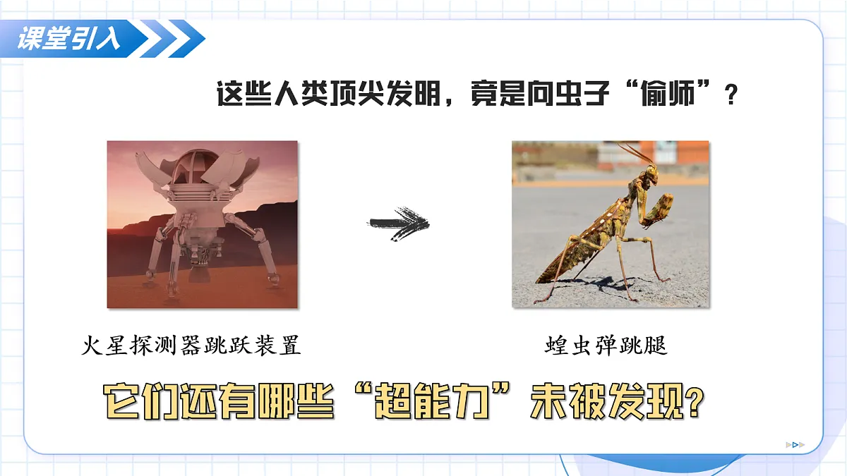 17256752第7页