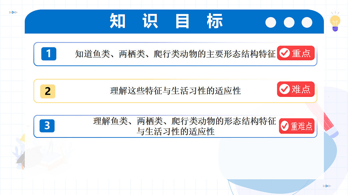 17256753第2页