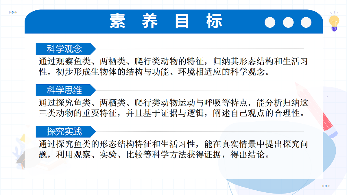 17256753第3页
