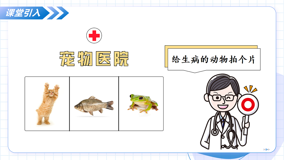 17256753第4页