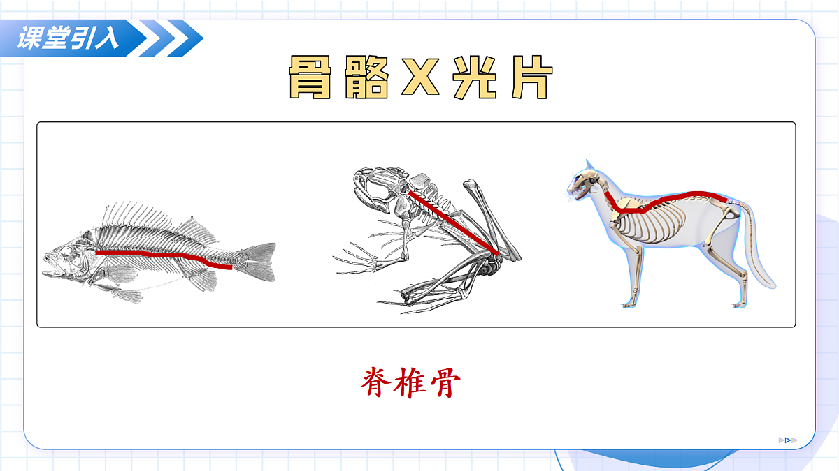 17256753第5页
