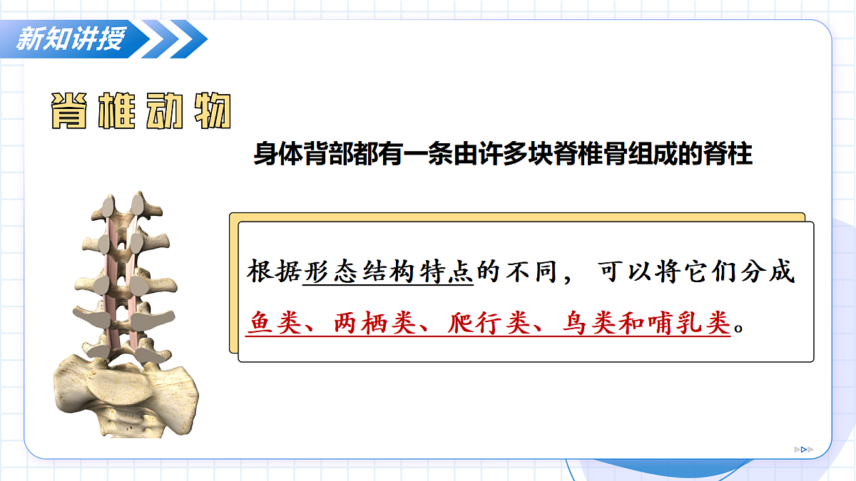 17256753第7页