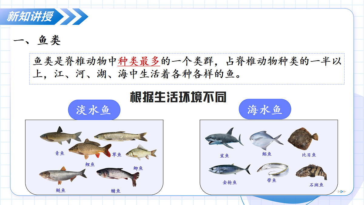 17256753第8页