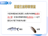 浙教版科学七年级上册 第二章 第四节 生物的分类 第一课时 教学课件