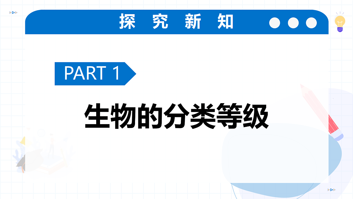 17256757第6页