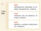 人教版初中美術(shù)八上第一單元1 國色之美ppt課件