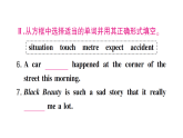初中英语新人教版八年级上册Unit 3Same or Different?第四课时 Section B (2a～3c)&Project)作业课件（含答案）（2025秋）