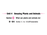 初中英语新人教版八年级上册Unit 4 Amazing Plants and Animals第一课时 Section A（1a~1d）&Pronunciation作业课件（含答案）（2025秋）