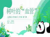人教版美術(shù)新教材  二年級上冊第1單元 第1課《樹葉的“血管”》 課件