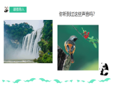 人教版美術(shù)新教材  二年級上冊第3單元 第2課《聲音的秘密》 課件