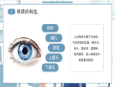 藍色簡約扁平保護眼睛主題班會課件