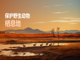 保護(hù)野生動(dòng)物棲息地維系生態(tài)平衡課件
