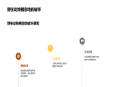 保護(hù)野生動(dòng)物棲息地維系生態(tài)平衡課件