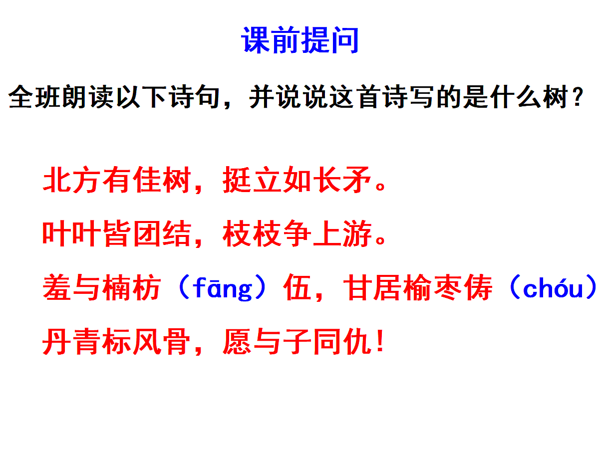 17257544第1页