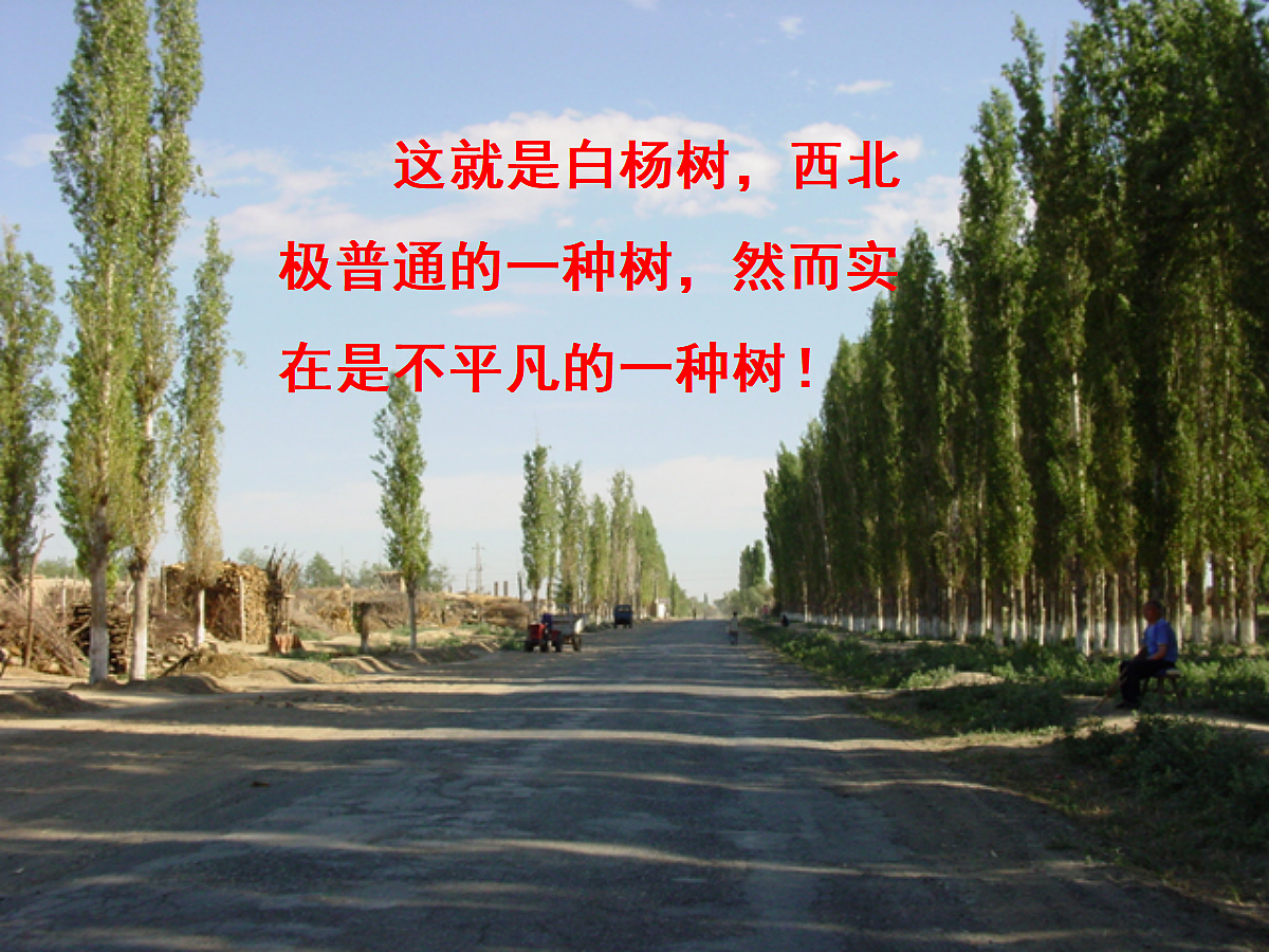 17257544第2页