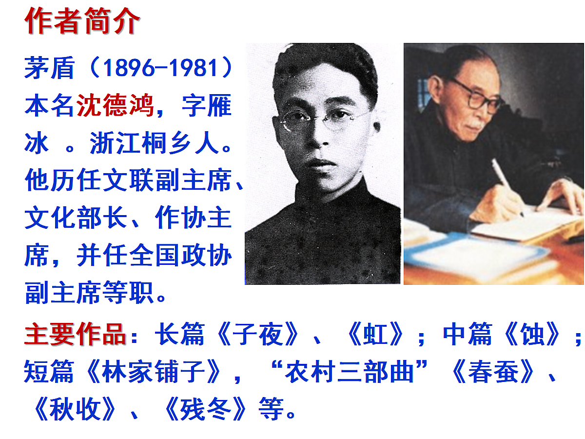 17257544第4页
