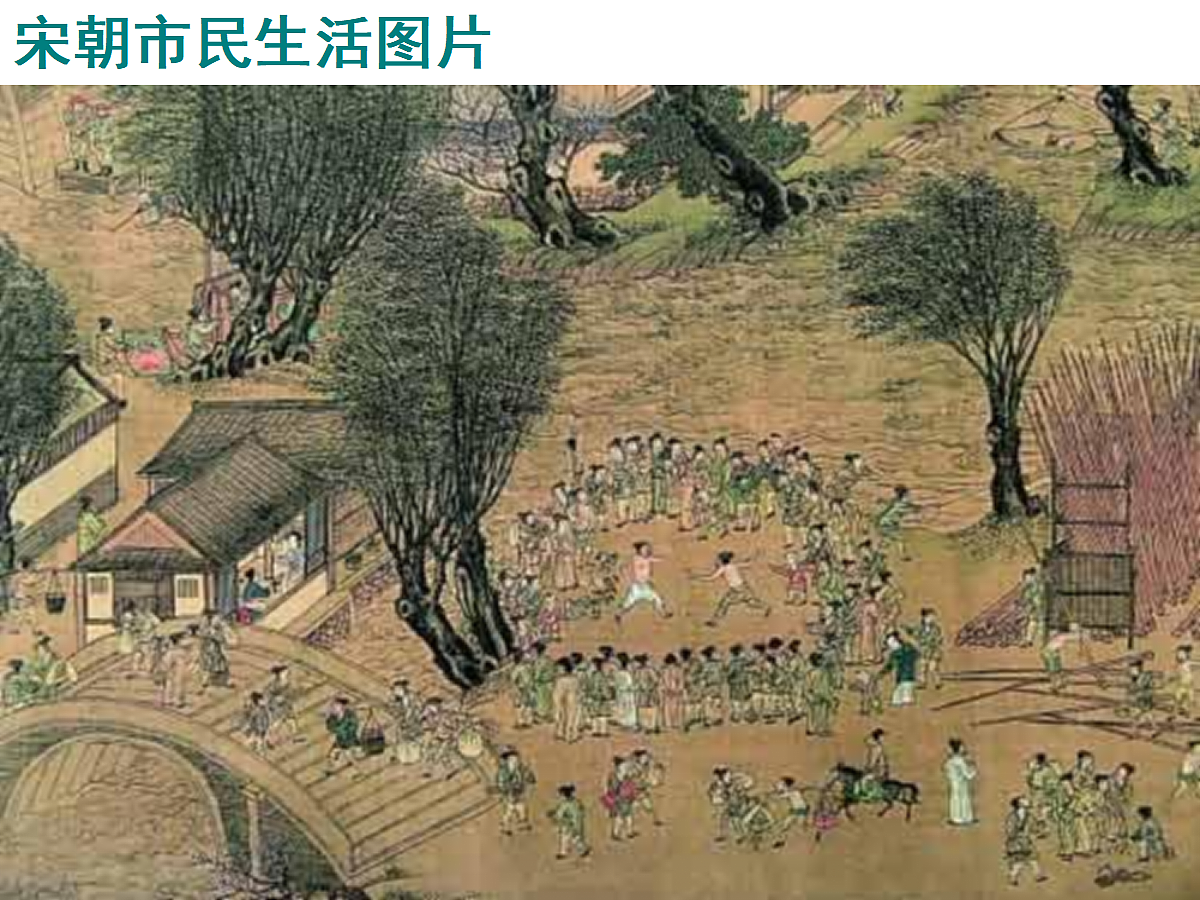 17257546第5页