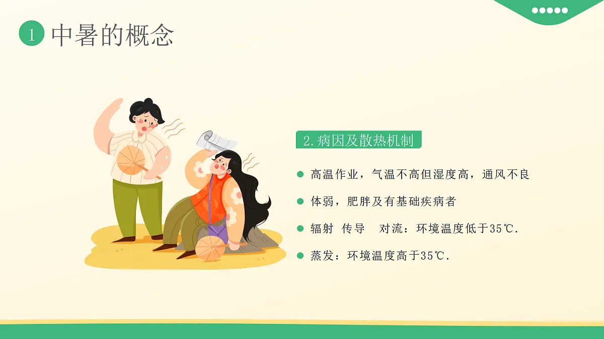 17257551第5页