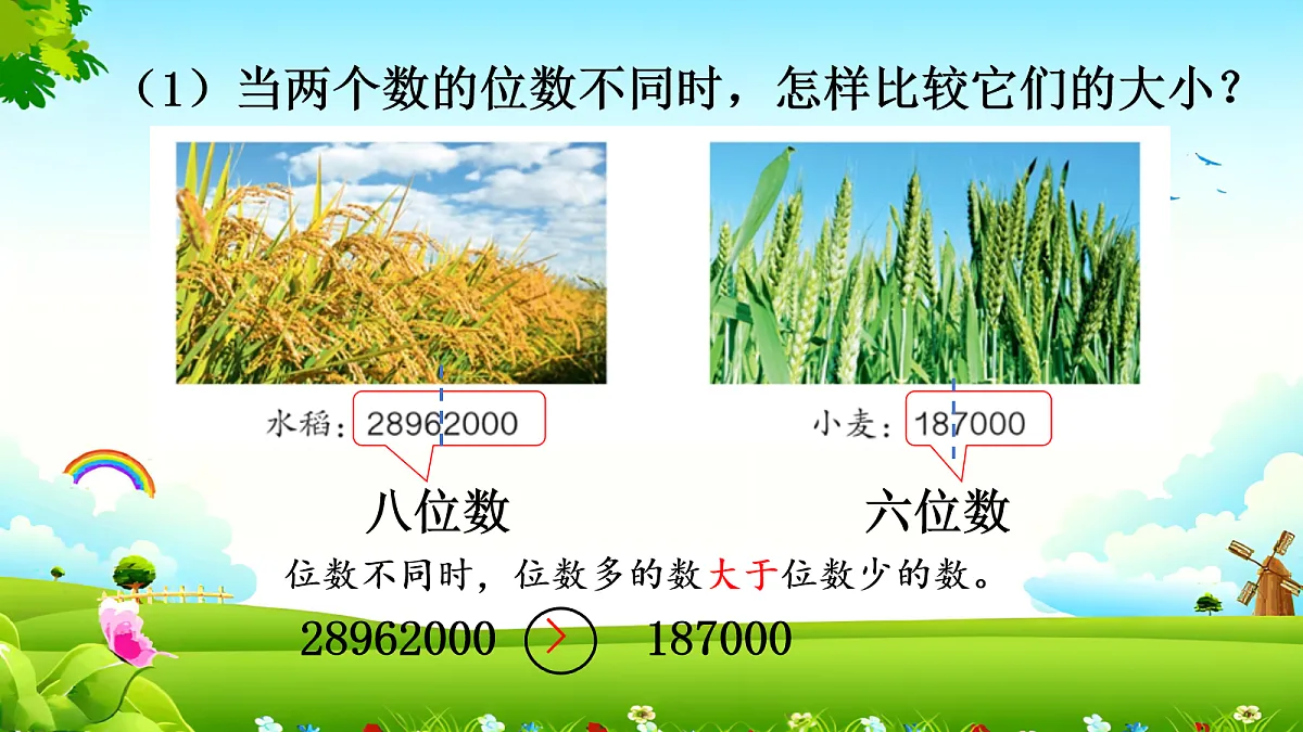 17257857第5页