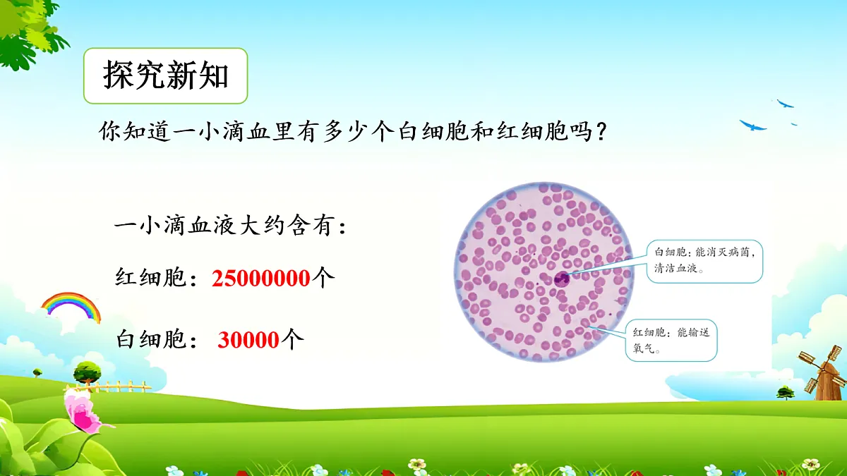 17257858第4页