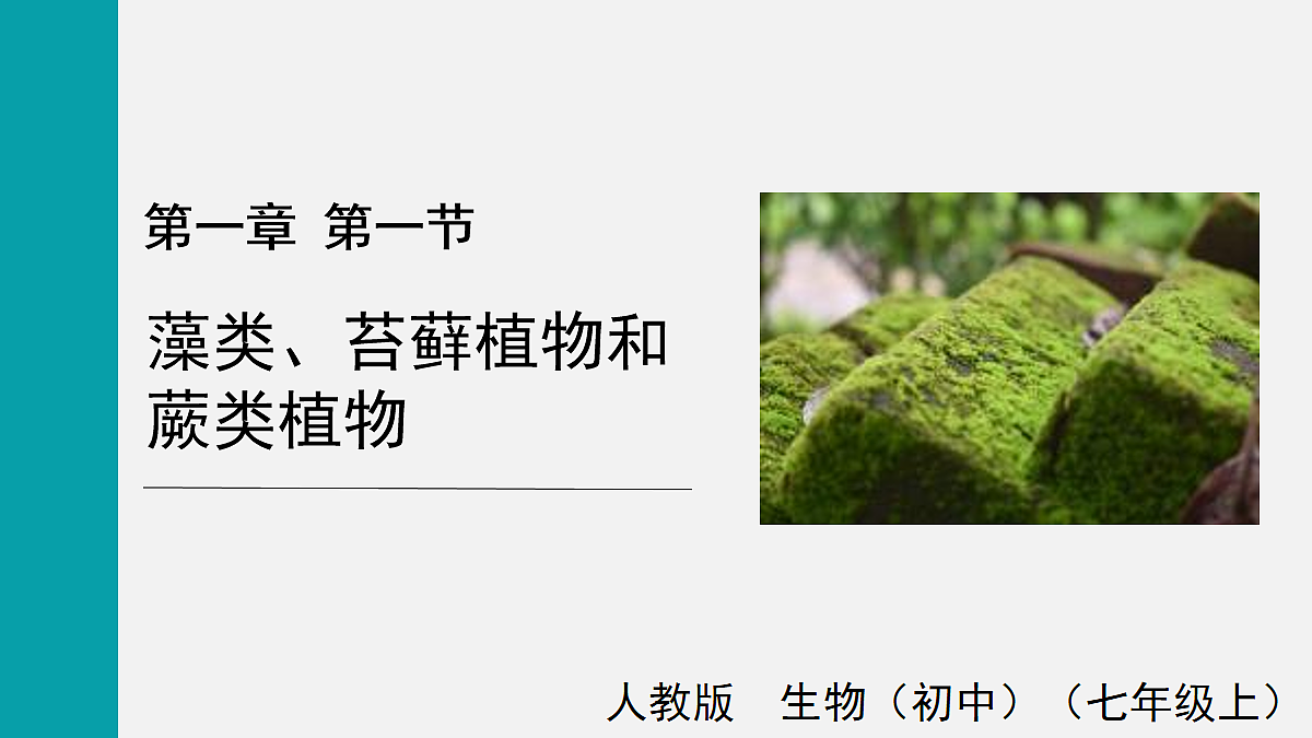 17257862第1页