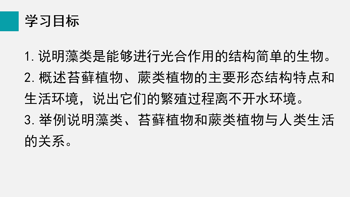 17257862第2页