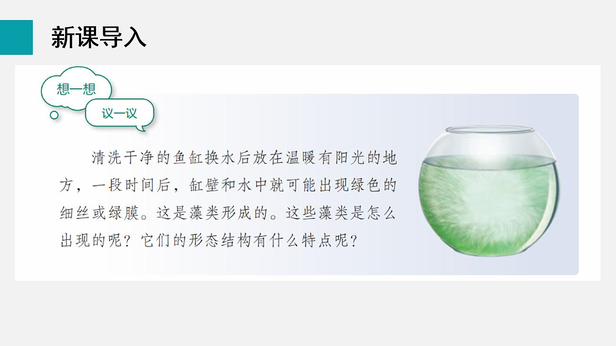 17257862第3页