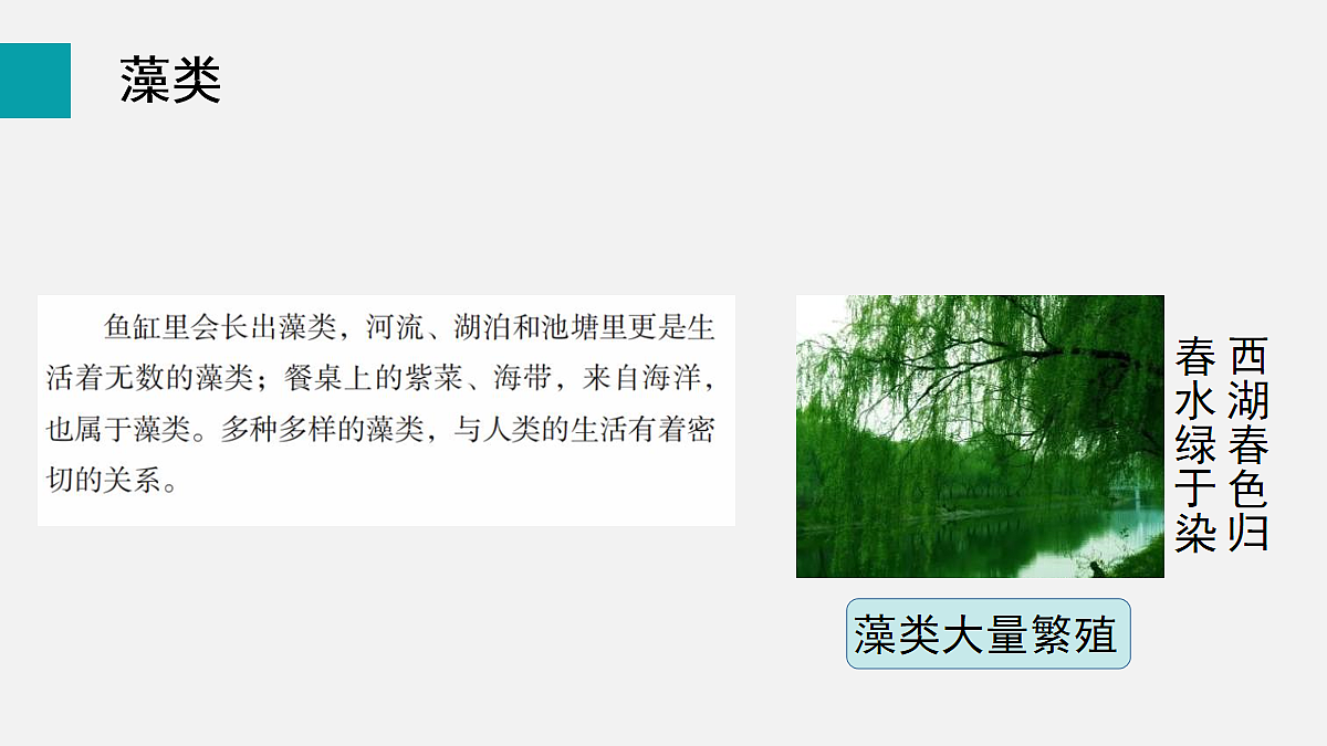 17257862第4页