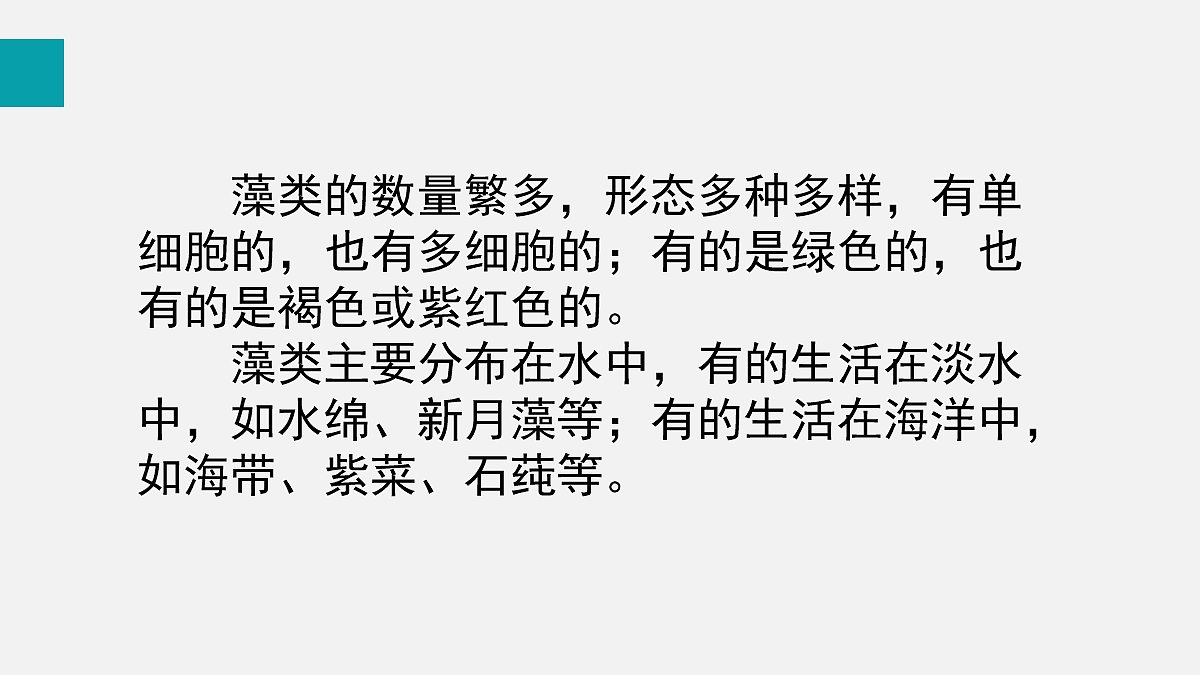 17257862第5页