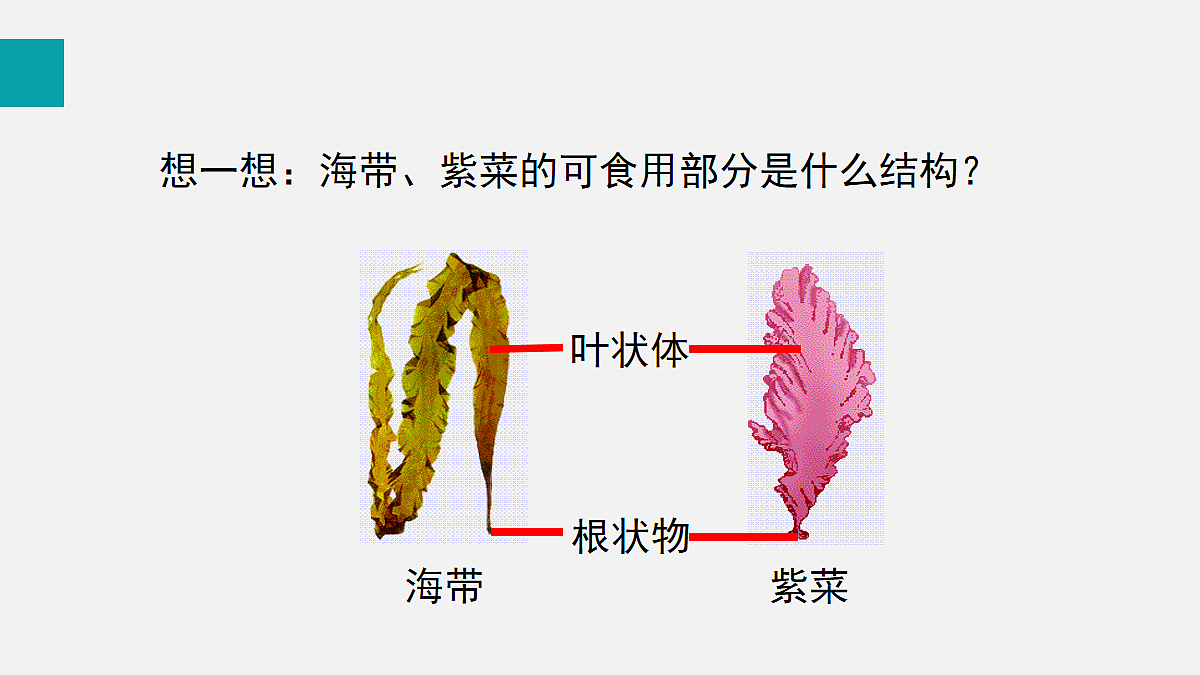 17257862第7页