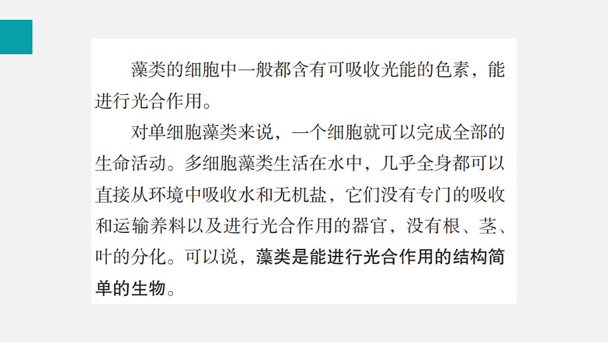 17257862第8页