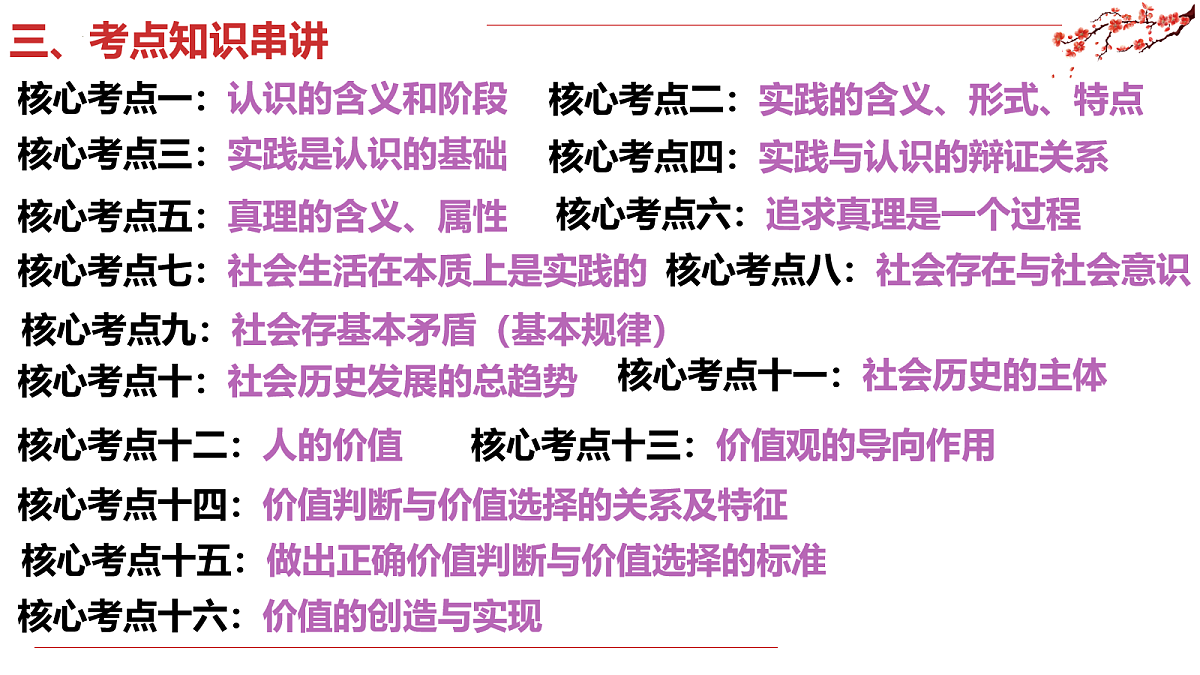 17258885第8页