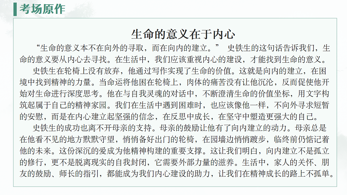 17259228第8页