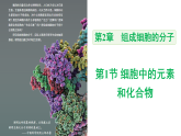 【高效课堂】高中生物2025-2026学年同步课件：2.1 细胞中的元素和化合物-人教版（2019）必修1