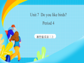湘鲁版英语三上册 Unit7《 Do you like birds》Period4课件