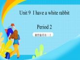 湘鲁版英语三上Unit 9 《I have a white rabbit》 Period2课件